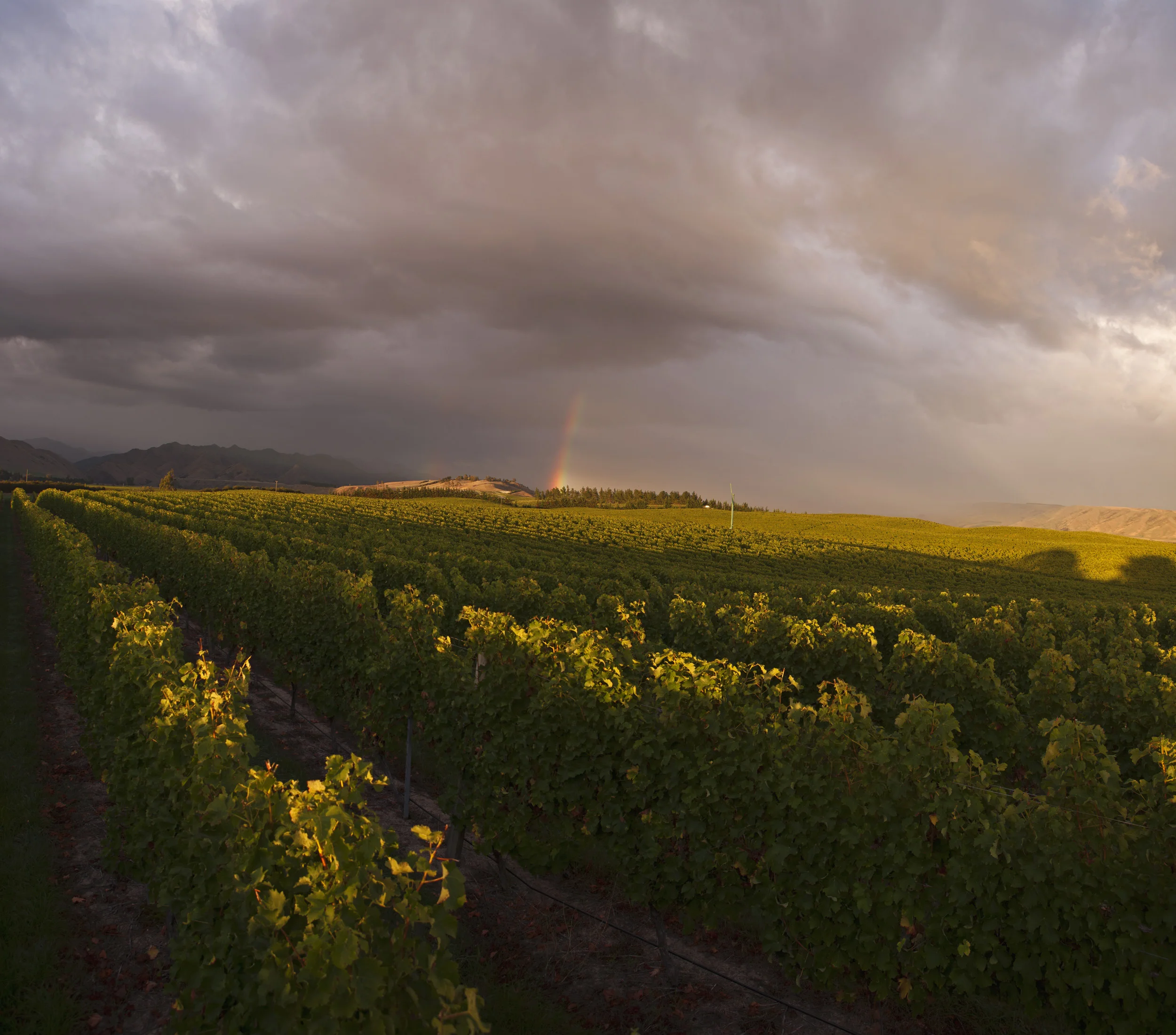3802-03Fields_Panorama25.jpg