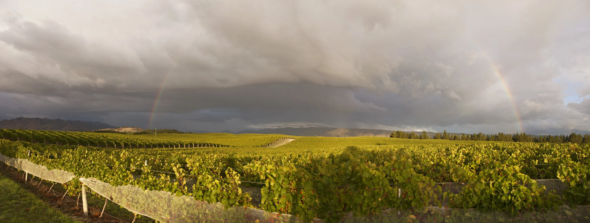 3882-83ALandscape_Panorama15_3_2015.jpg
