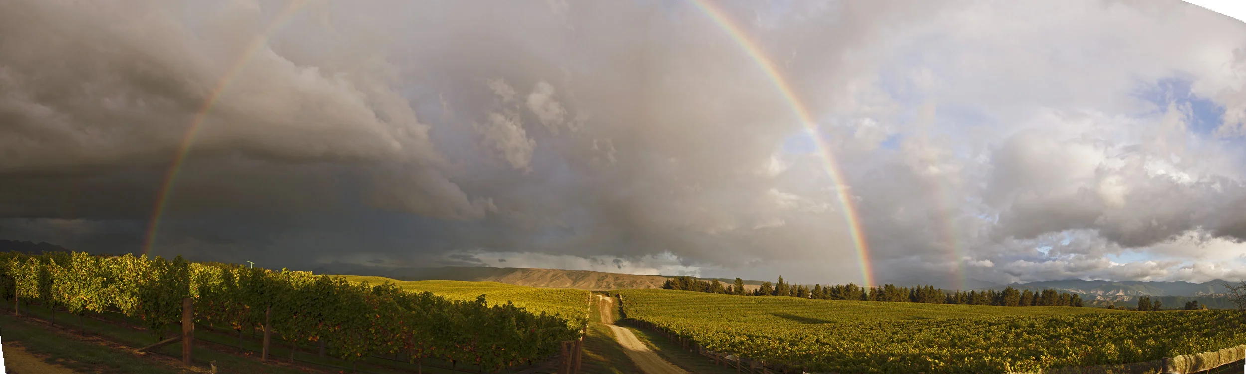 3888-89ALandscape_Panorama16_3_2015.jpg