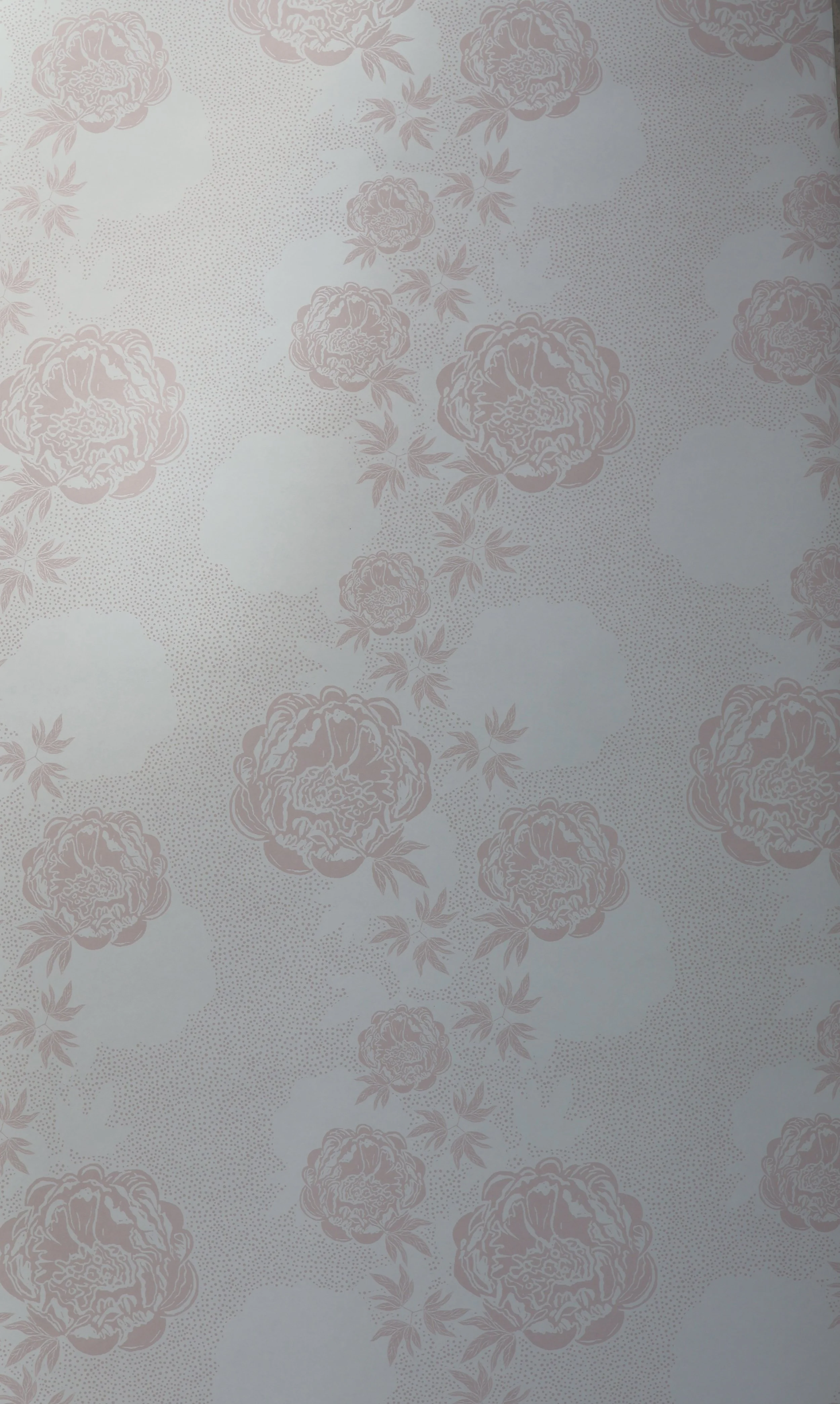 Peony Echo Wallpaper Blush Zoe Glencross.JPG