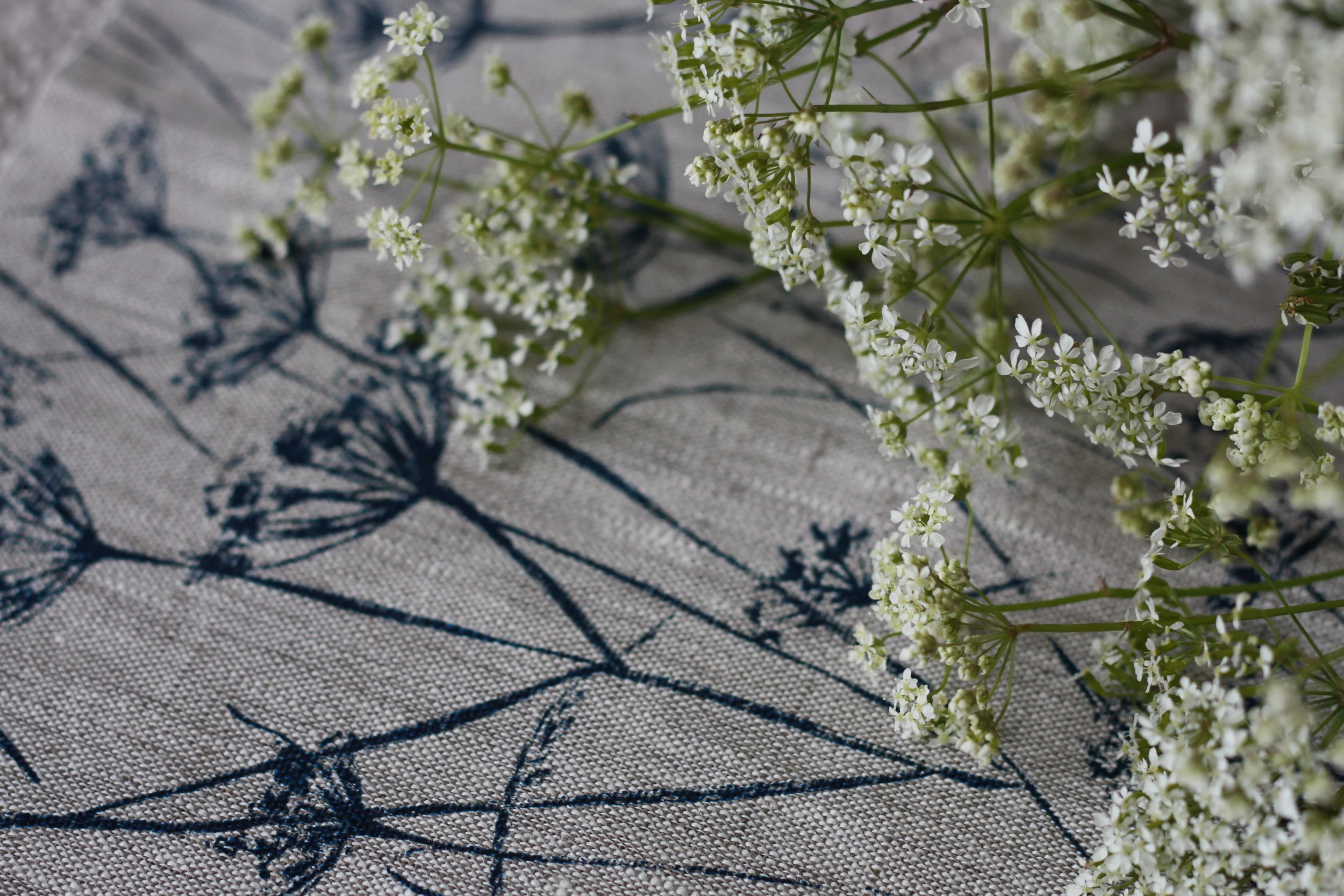 Adlington Cowparsley Inky Sky linen fabric