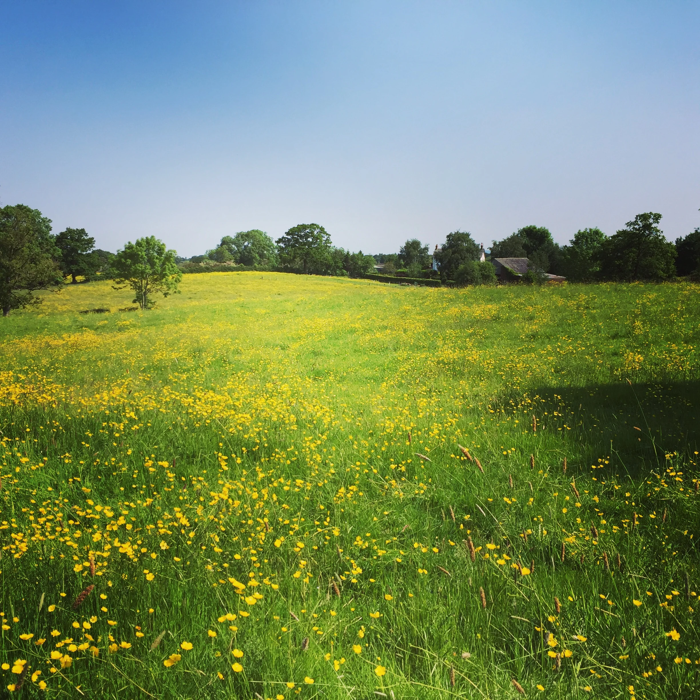 It's our birthday...!