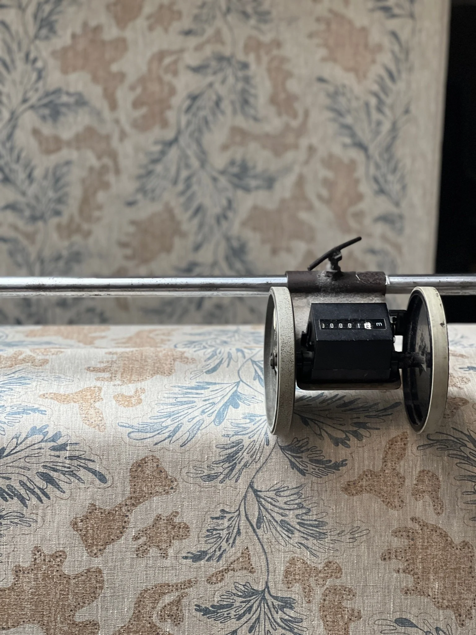 21509C7B-D437-44F3-B9CA-5919D422C836 2.JPG