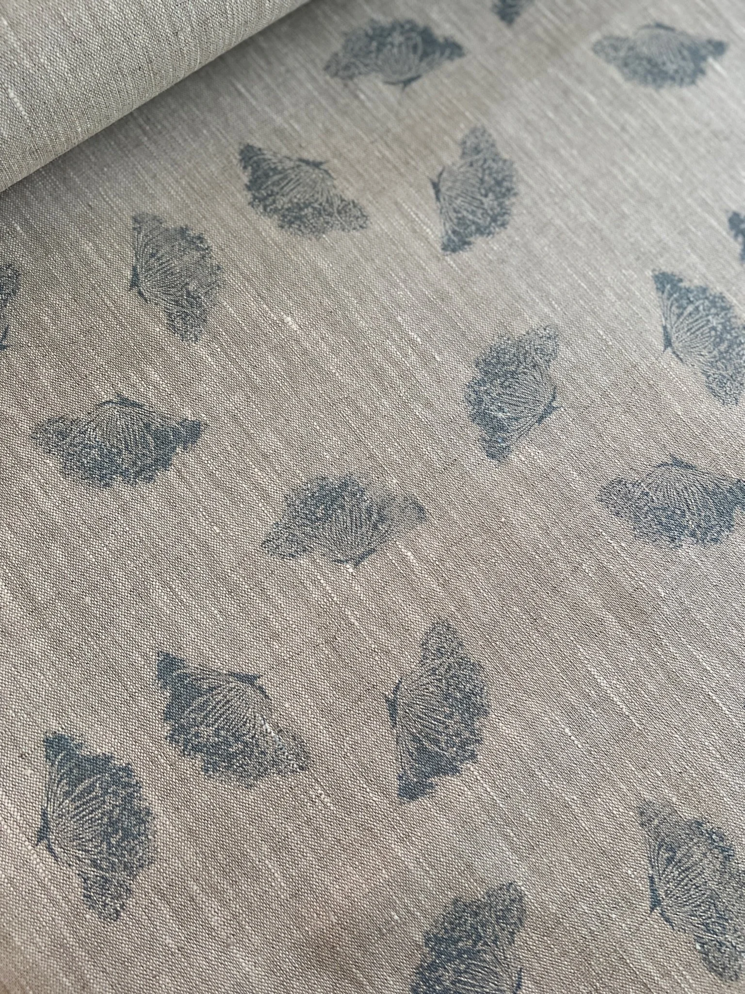 FC96B03E-9903-42F7-97B3-AA7FC38D1861 2.JPG