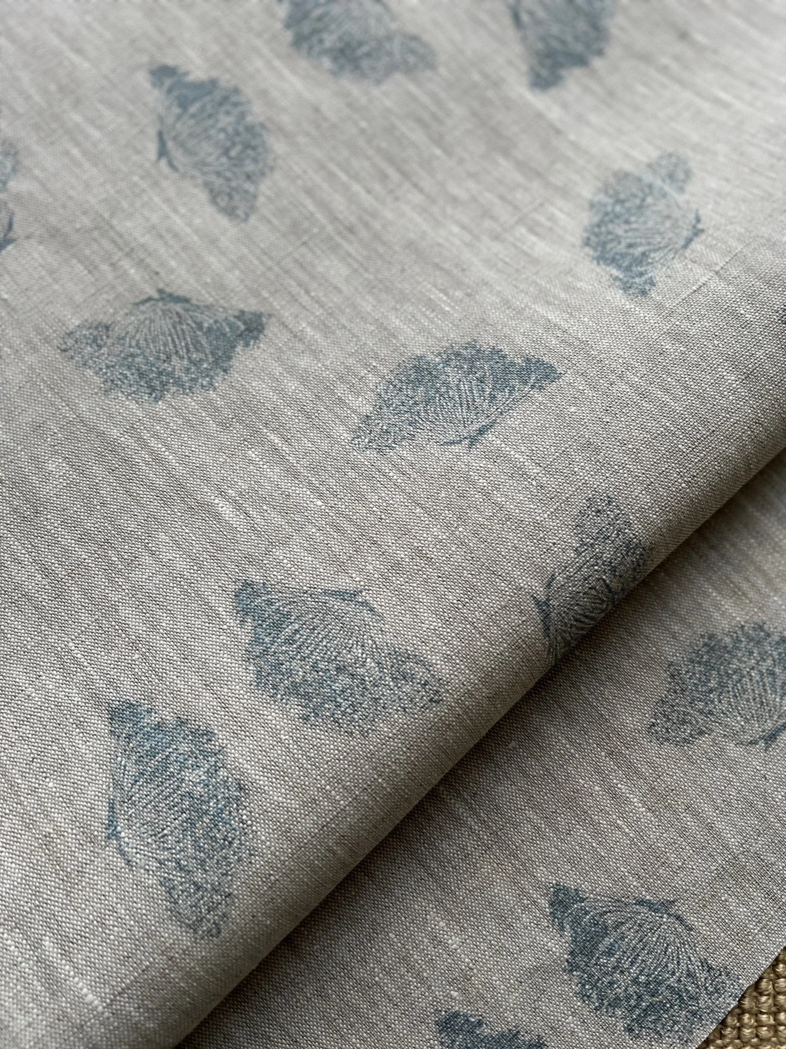 0DD76AA6-7C2A-427C-8AEA-67FE3A6DF7ED 2.JPG