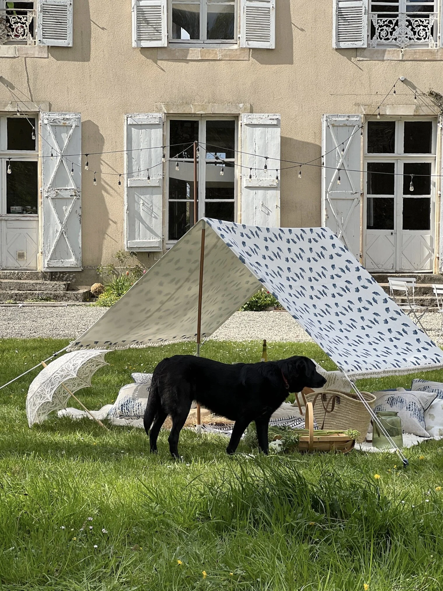 Ammi Inky Sky at Chateau de la Ruche
