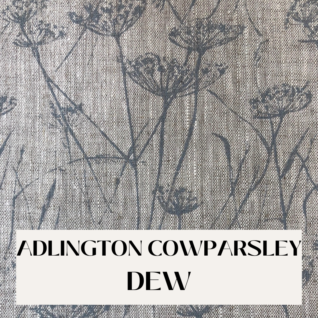 Adlington Cowparsley Dew