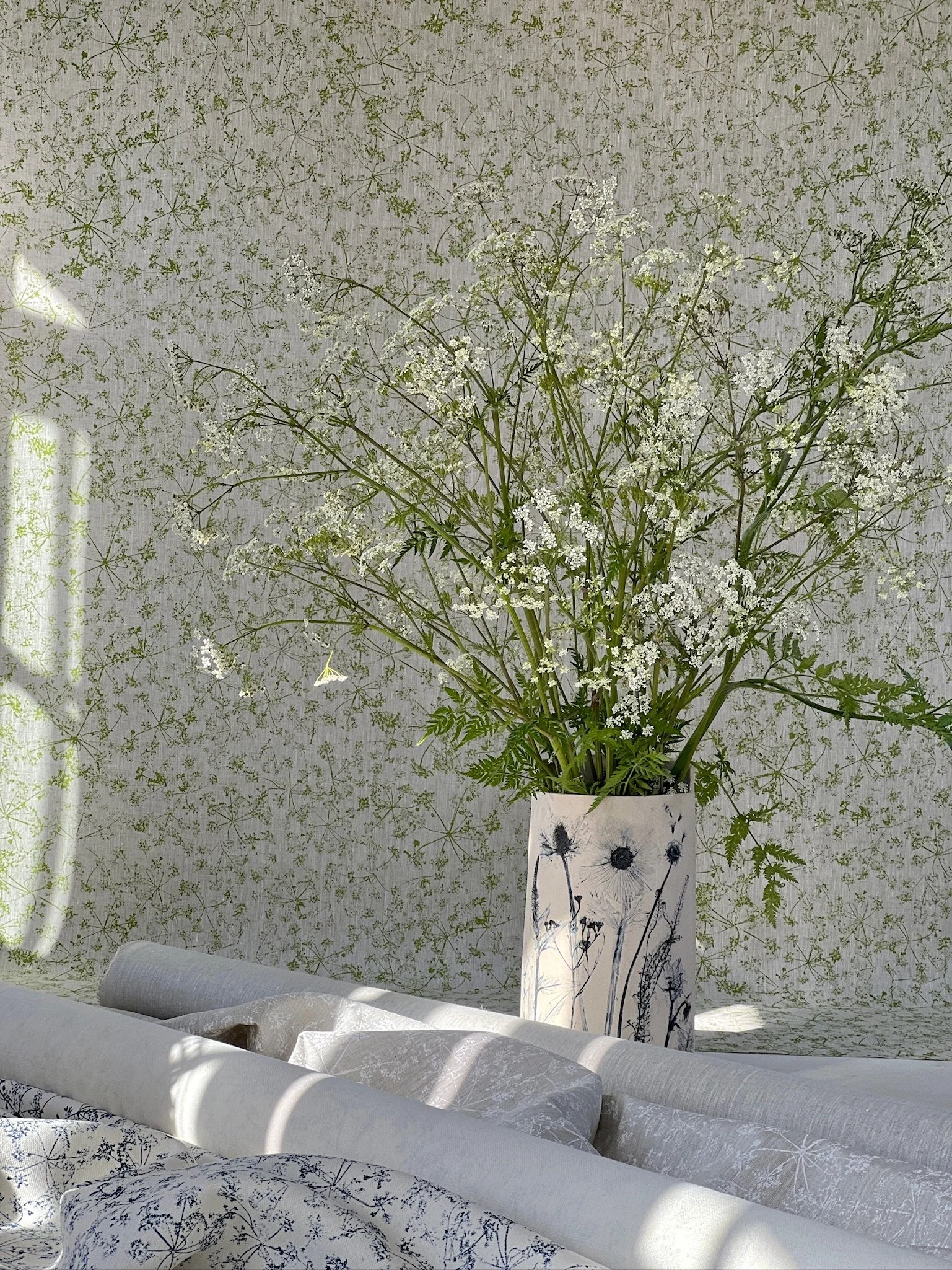 Spotlight on Summer Meadow