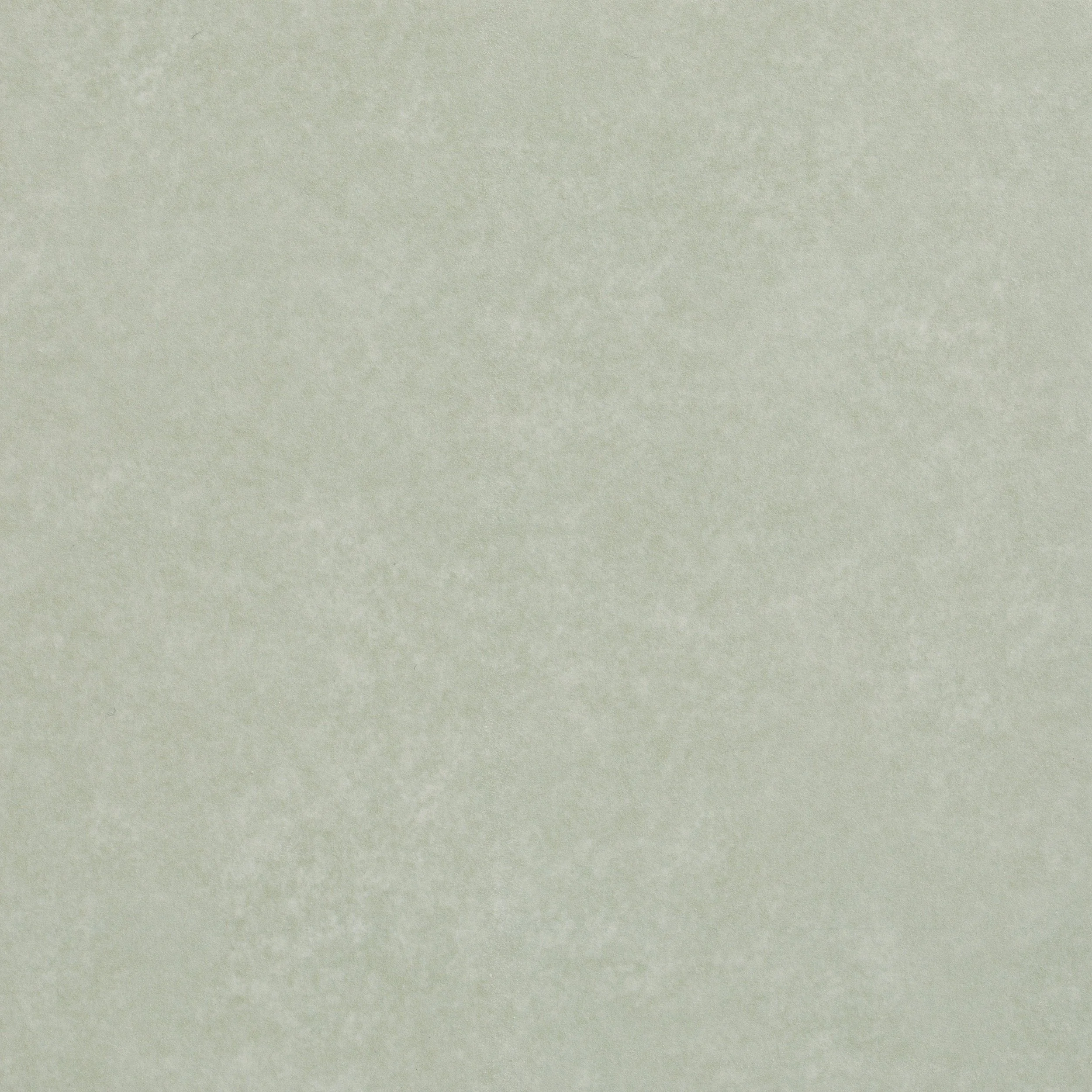 Aventuras Porcelain Field Olive