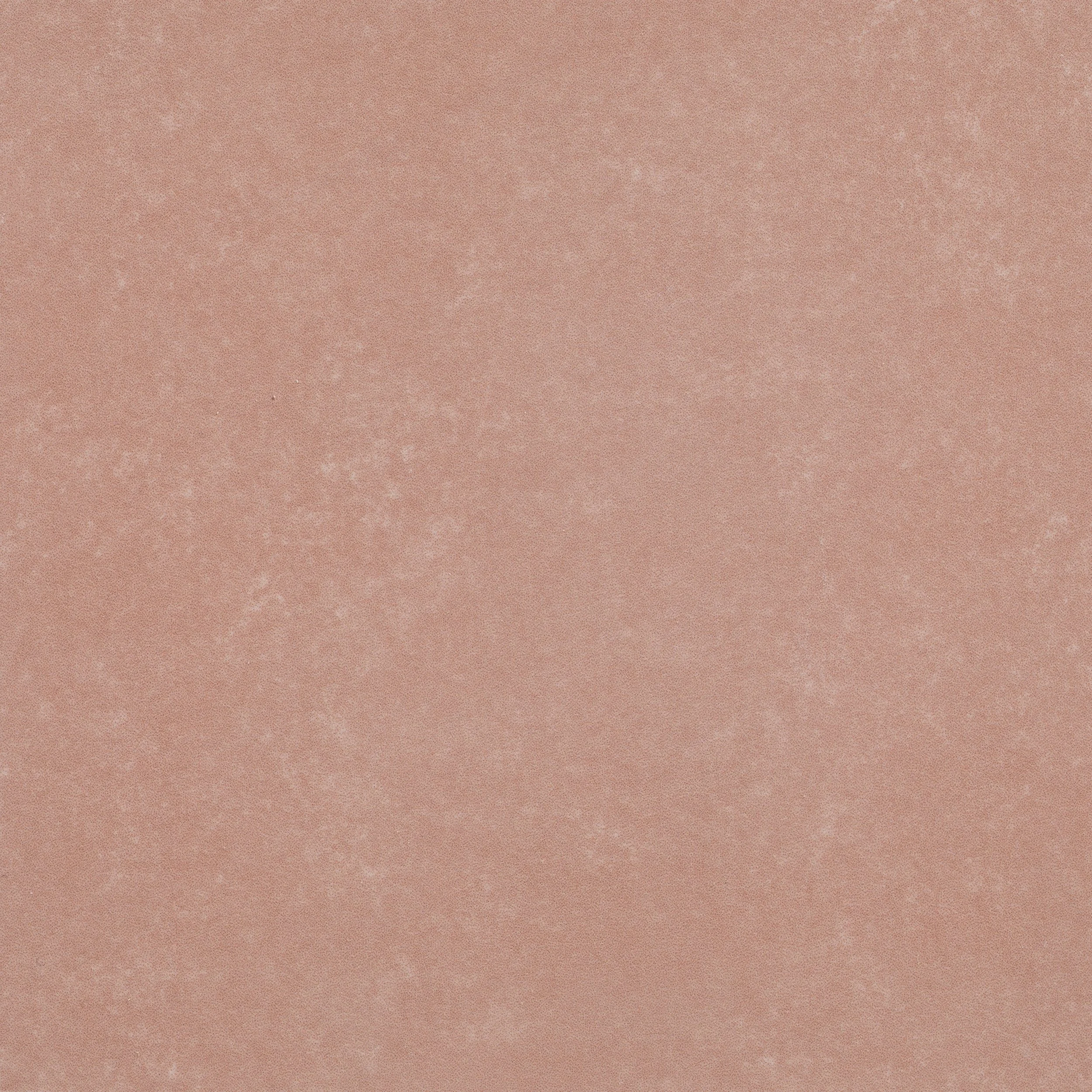 Aventuras Porcelain Field Rose