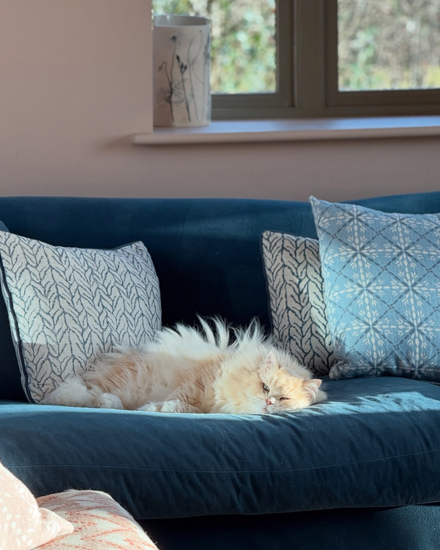 Off to London for more adventures.  Leaving the big guy to hold the fort! 😻