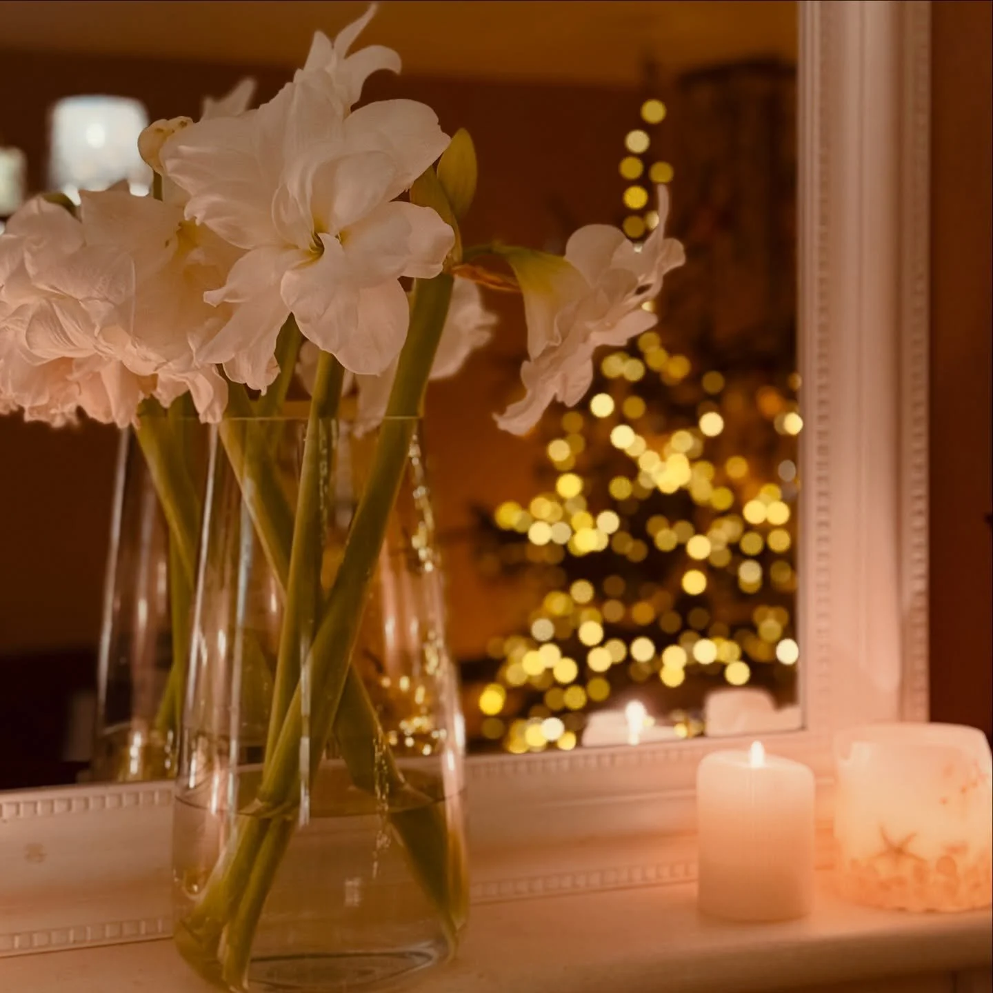 ZGHQ closes for Christmas next Friday 19th December with final orders being dispatched on 22nd December from our warehouse. 
So please get in touch to before midday on Friday to place any fabric, curtain or homewares orders. 

Any orders received aft