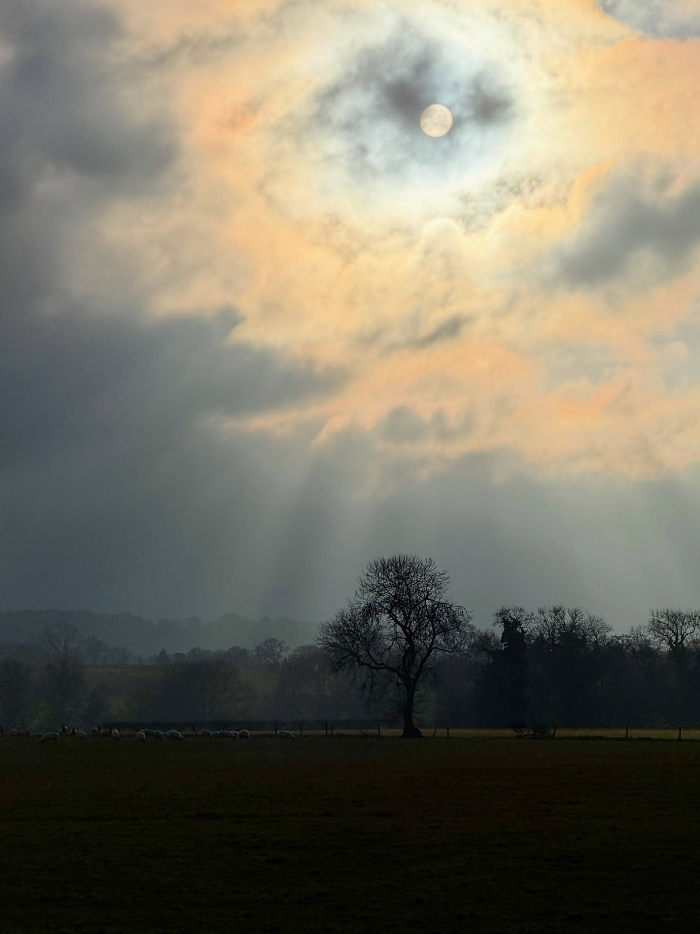 The weather this week at home seems very on point (pic 1.) with Wuthering Heights vibes and has prompted more throw back shots of our wonderfully swirling, whirling Whirlwind fabric! 

We shot the photos and a little bit of film in a friend&rsquo;s g