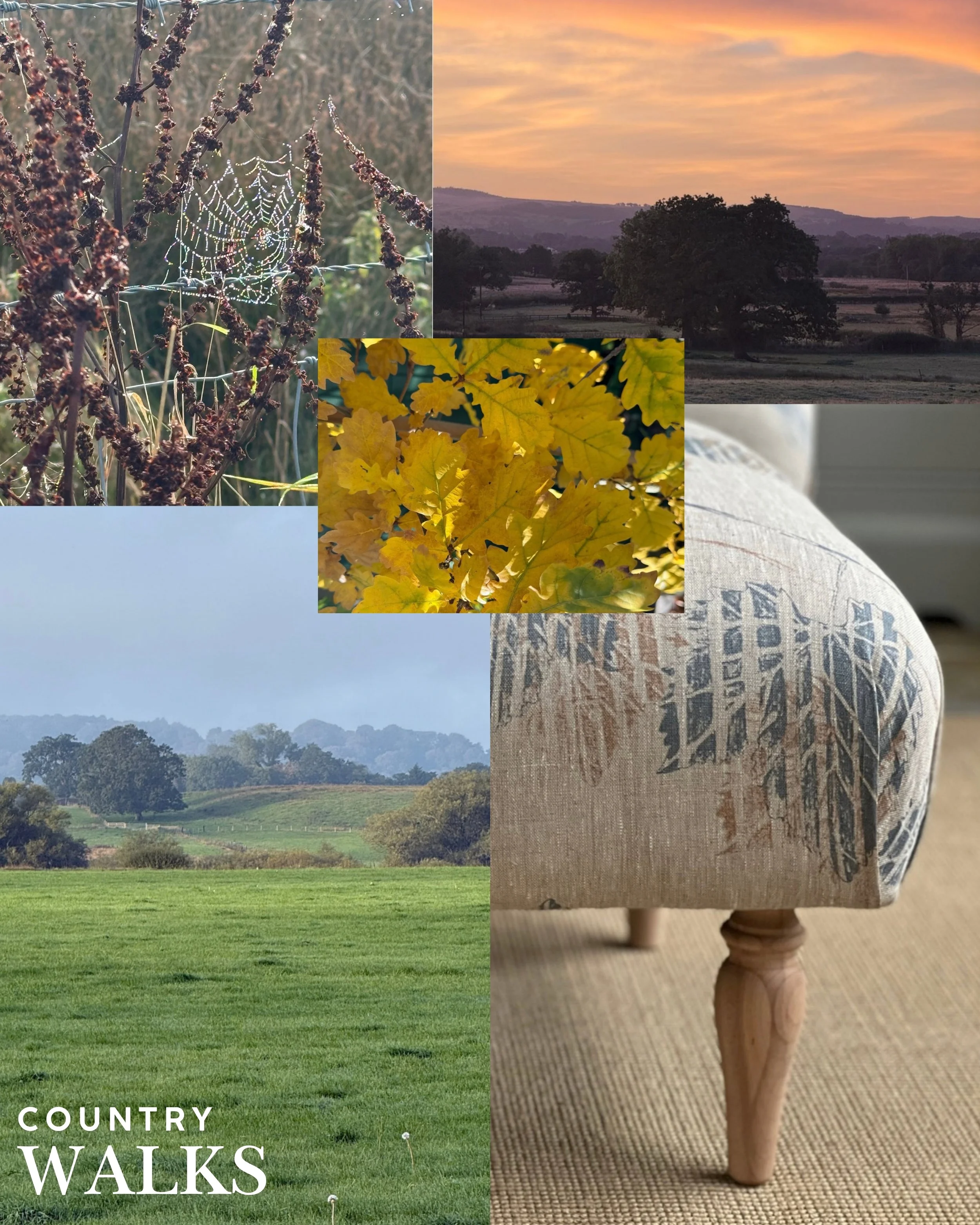 Autumn Zoe Glencross