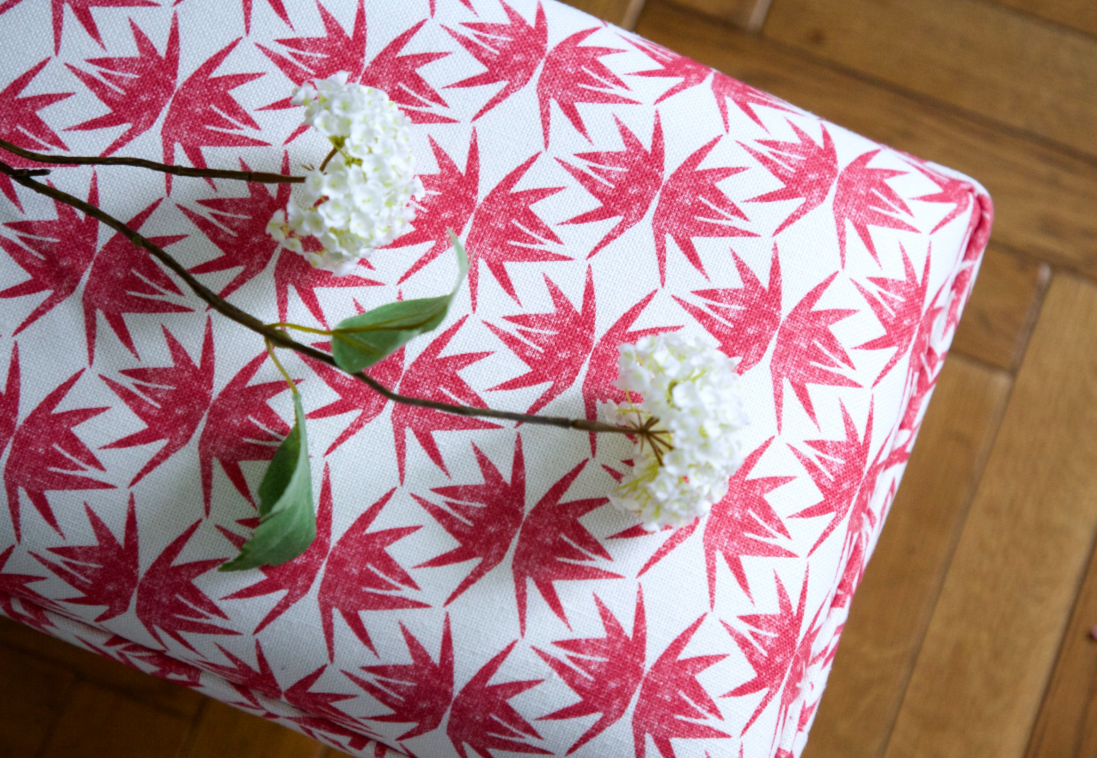 Paper Leaf Raspberry.png
