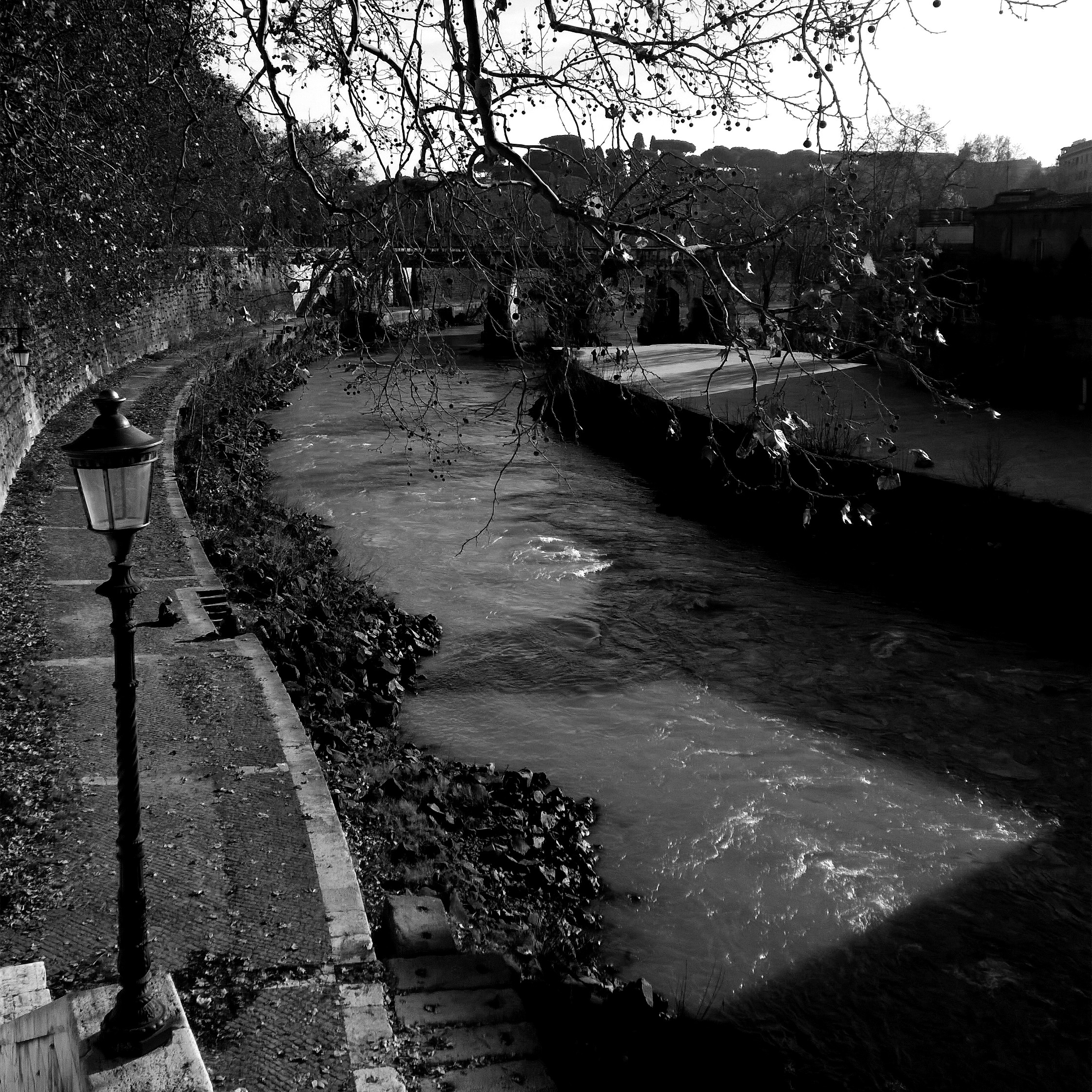 Il Fiume Tevere