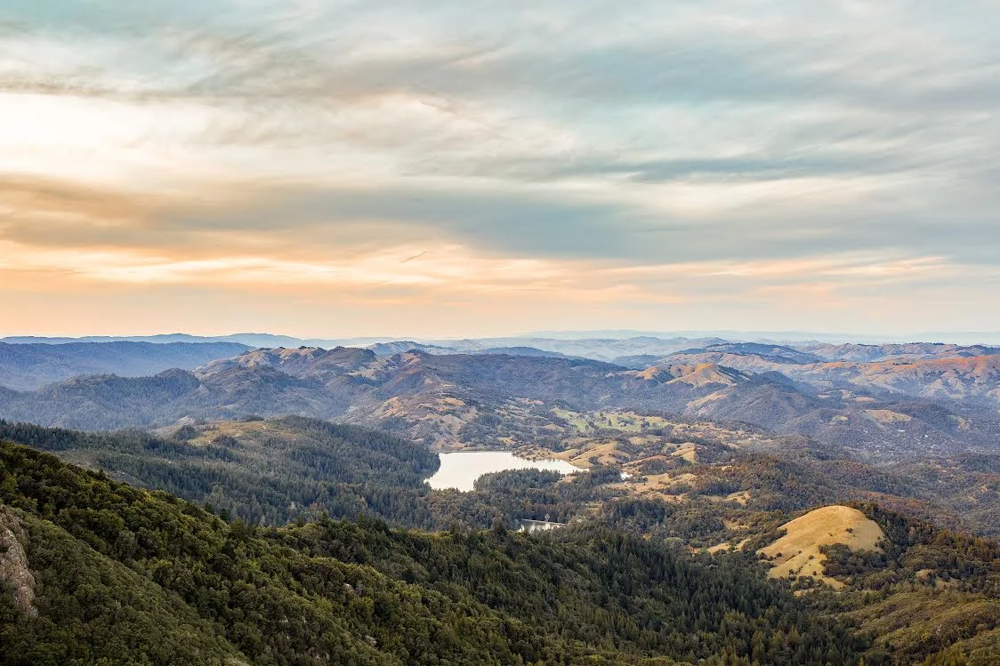 landscape shot by me for the piece.