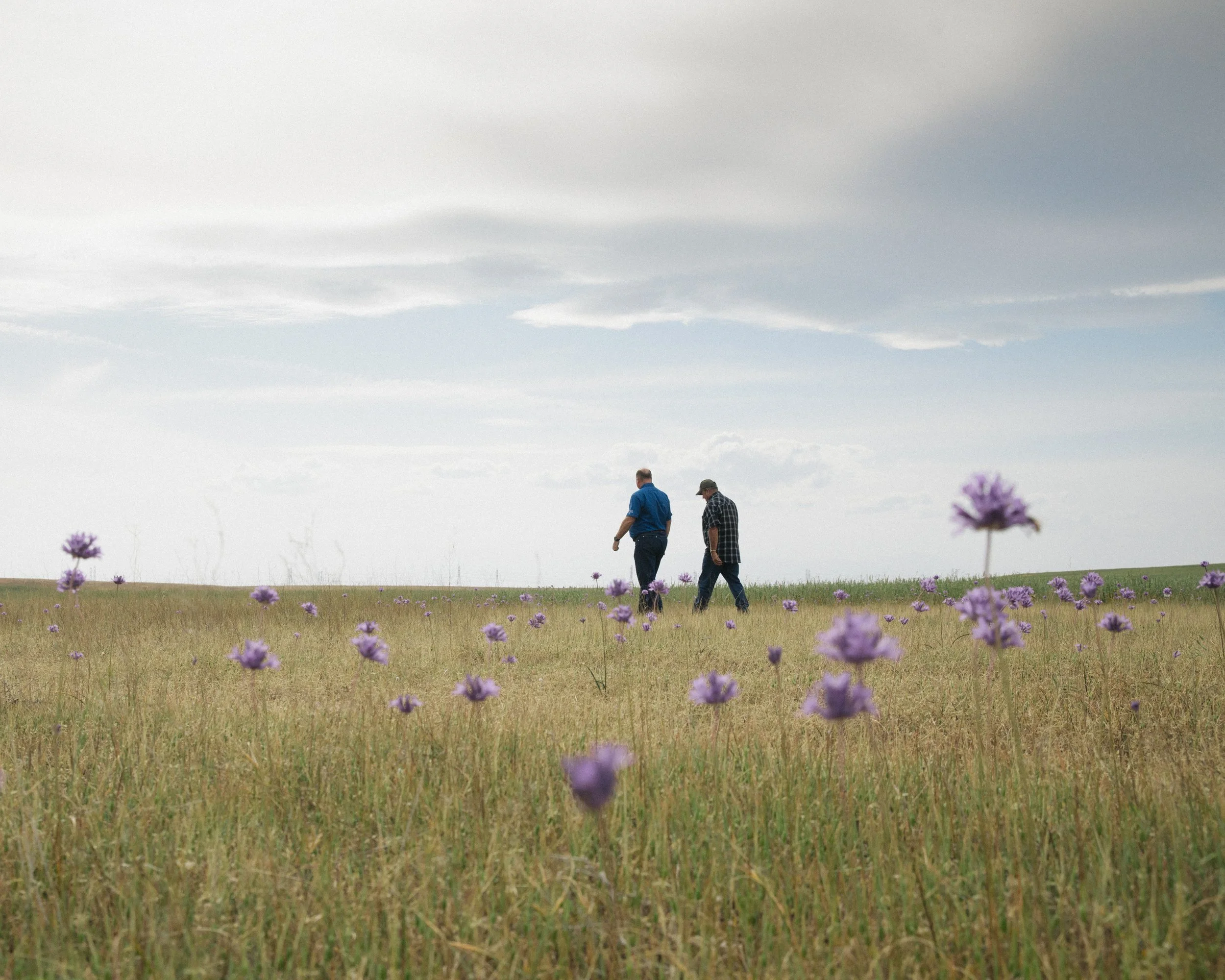 The American Farmer - Pacific Legal Foundation