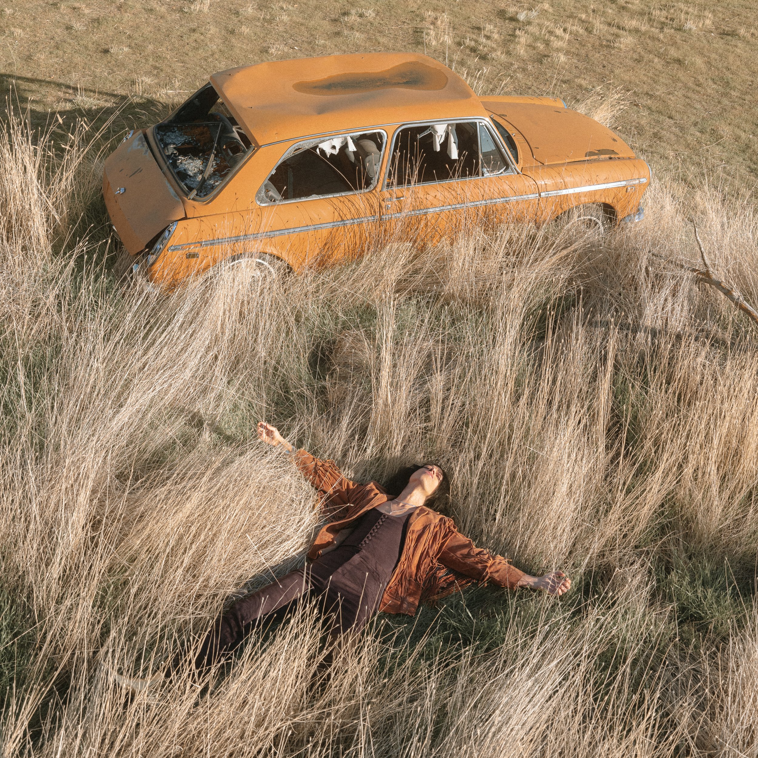 The Plow That Broke the Plains Album Cover - Lawrence Rothman