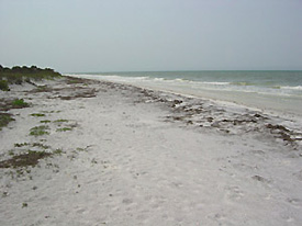fl03_7.jpg
