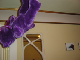 easter05_08.jpg