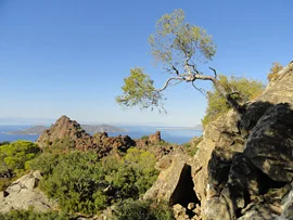 1209methana06.jpg