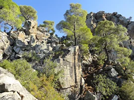 1209methana09.jpg