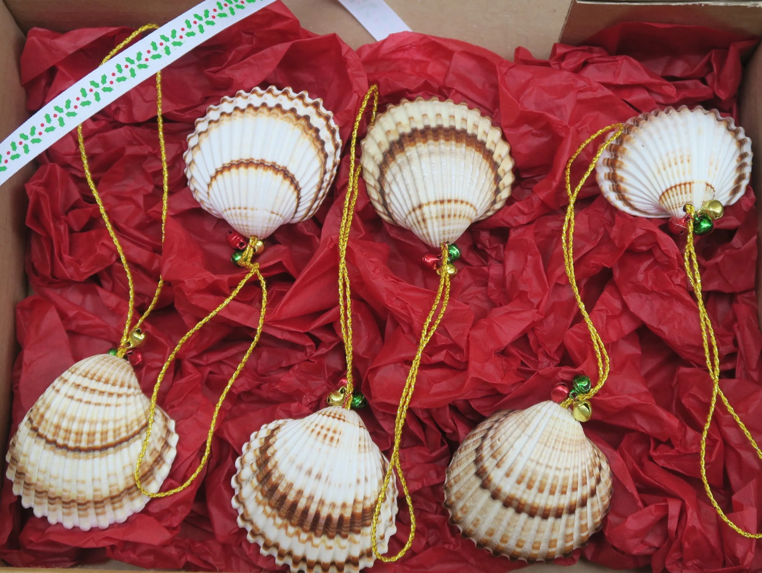 Handmade Jingle Shells Set Of Six Christmas Decorations