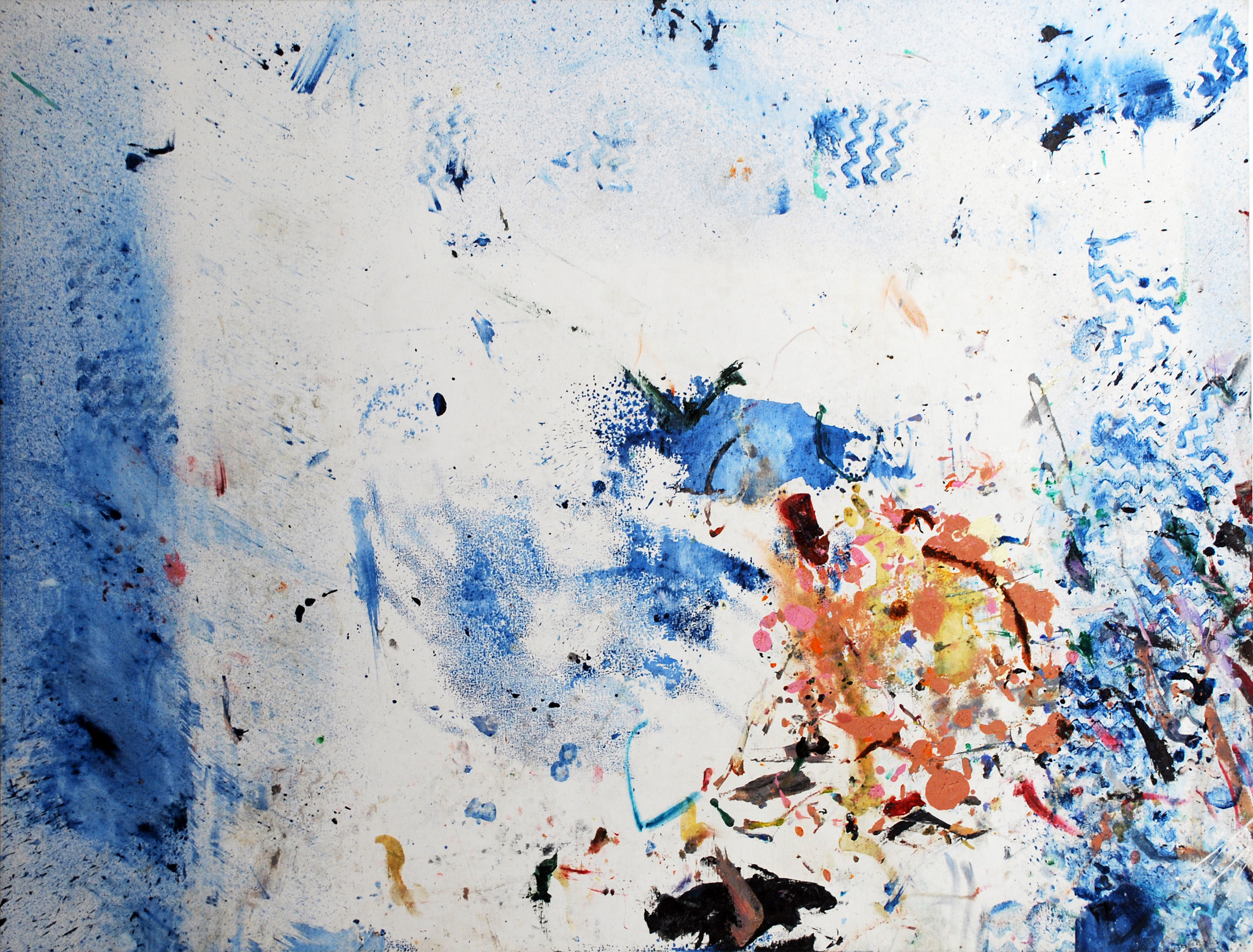 BIO II (section 1, version 2) 2010-2011, 2012-2013 40" x 53"