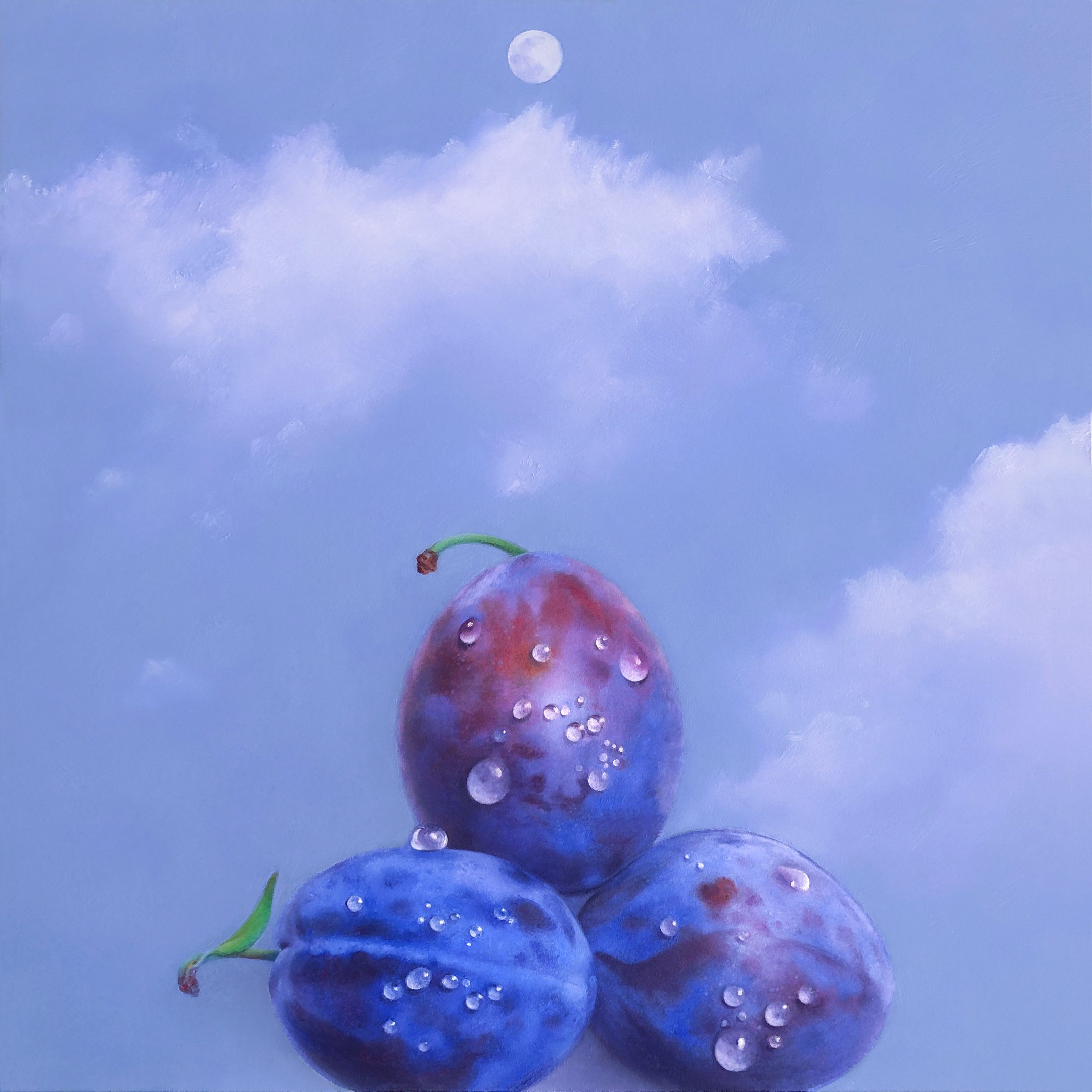 MOON PLUMS