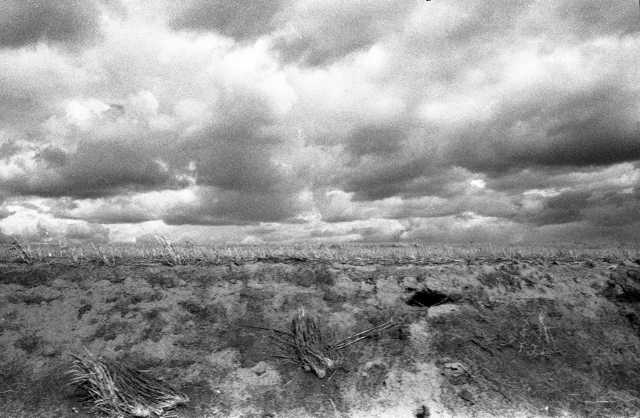 Episode 6: The Witch Of Hamilcar, TX, Part 1