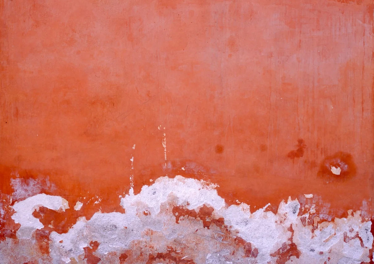 Episode Preview: Saving Mars, By Cidney Swanson