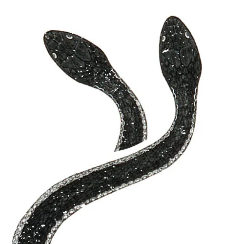 Season 2, Episode 2: A Steady Hand, Part 2