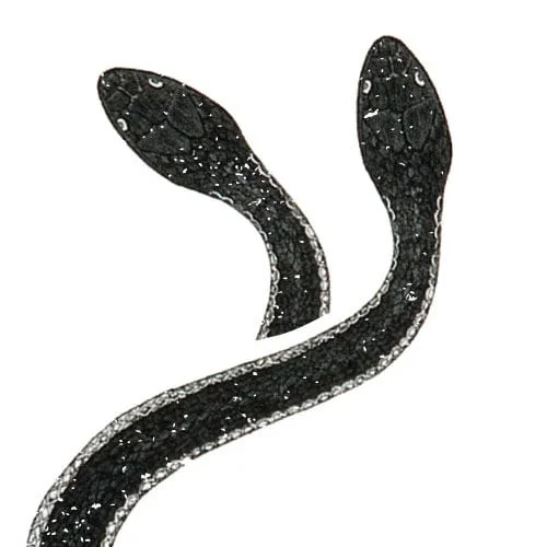 Season 2, Episode 4: The Propagandist, Part 2