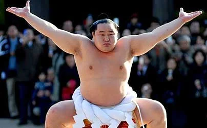 sumo wrestler.jpg