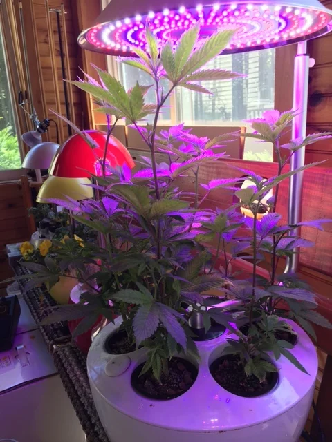 streaching 2 IMG_0734.JPG