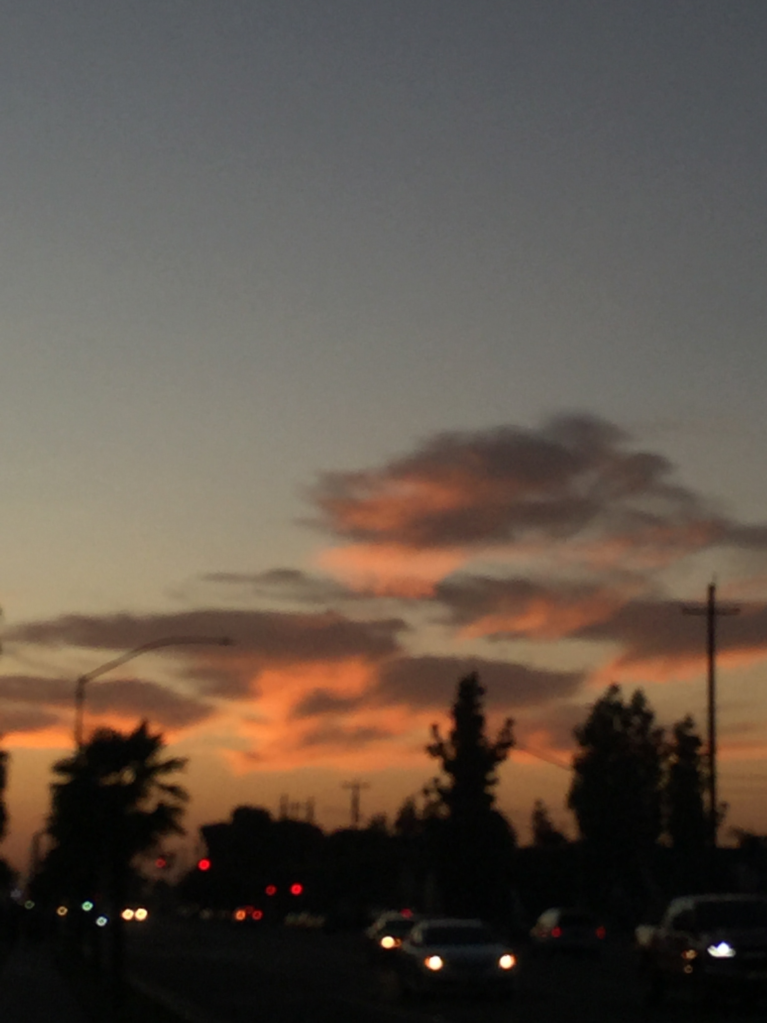 IMG_7260.JPG