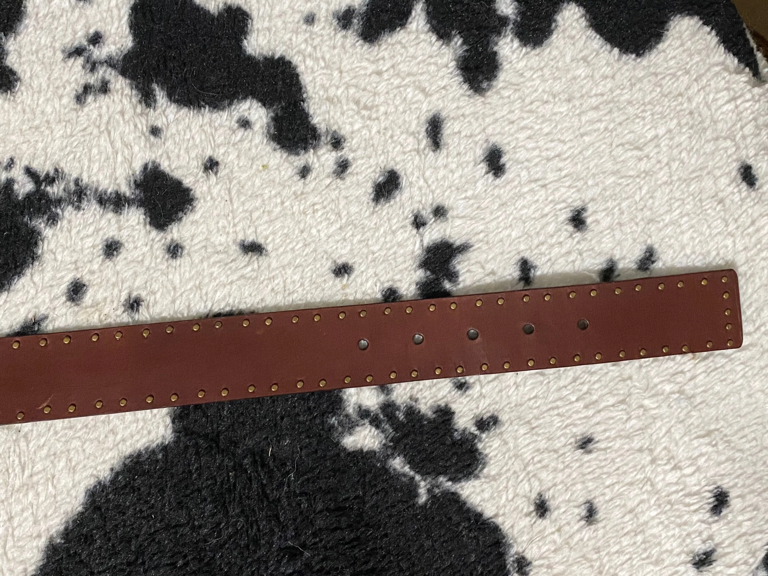 656467BA-C2D4-45F0-9F9B-330DD6884BC3