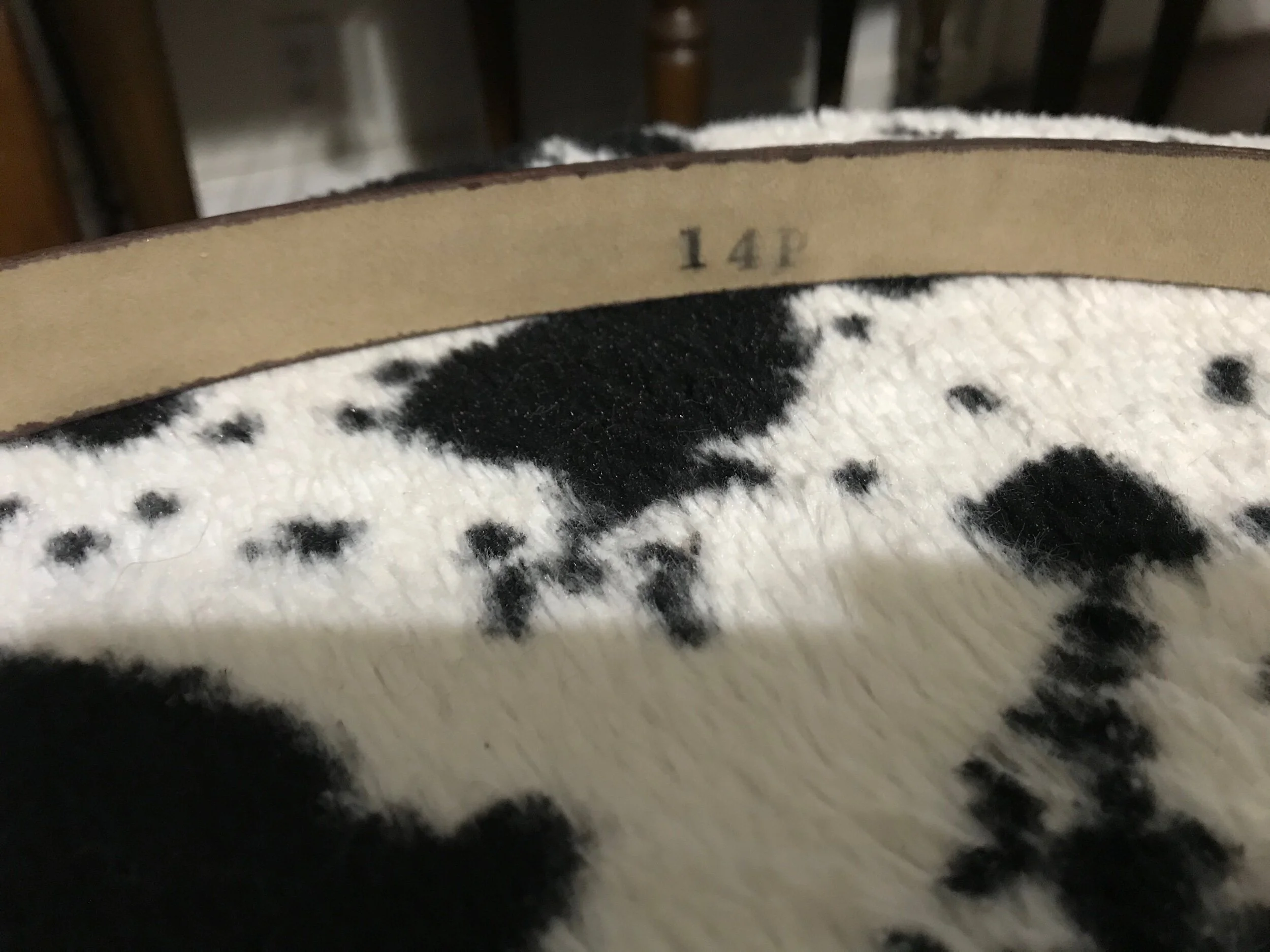 694B94D5-21D0-41E0-9FB0-F5884EB5A899