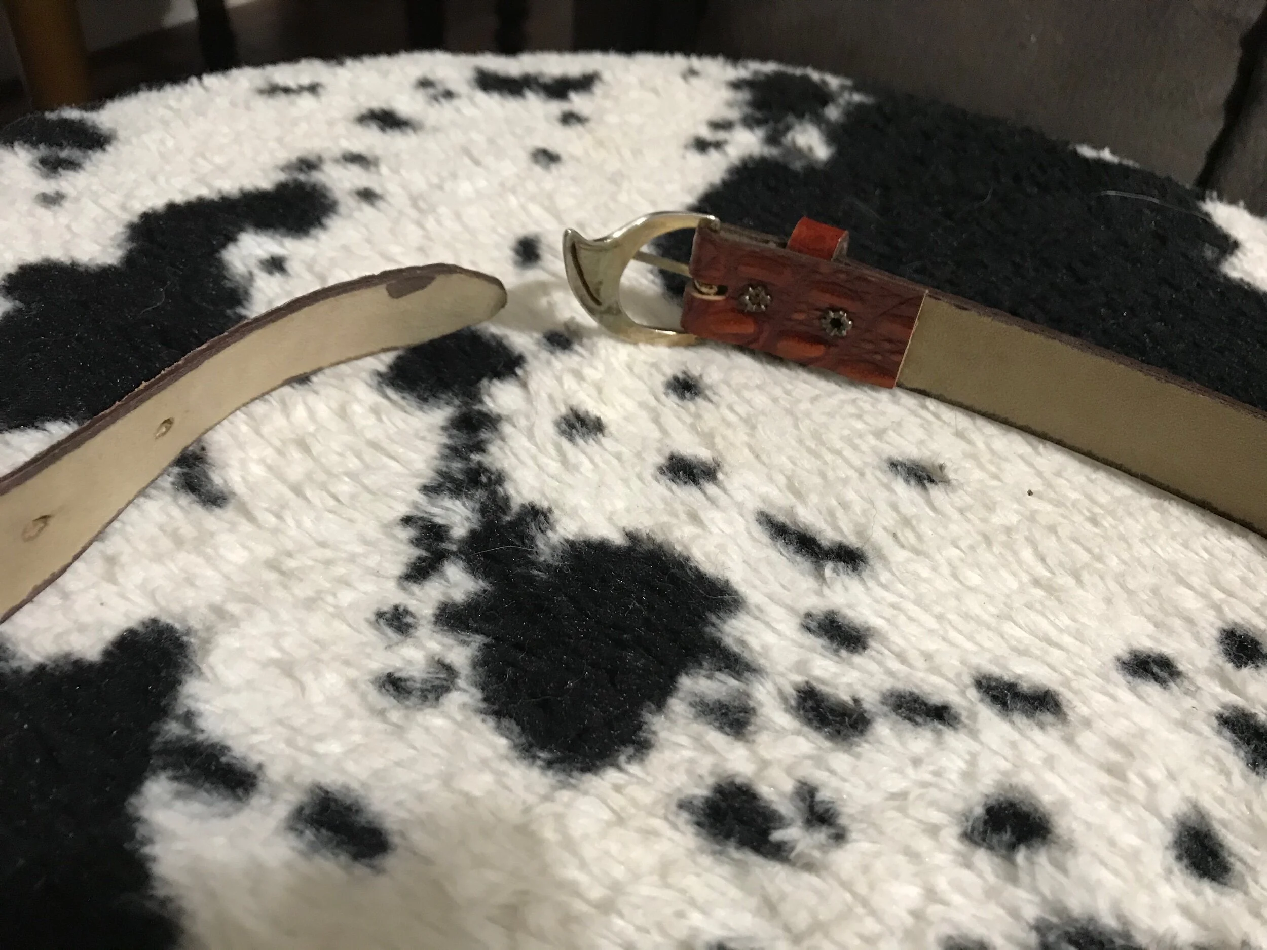 AA0D905A-8259-4B0B-9172-501A52DFB908