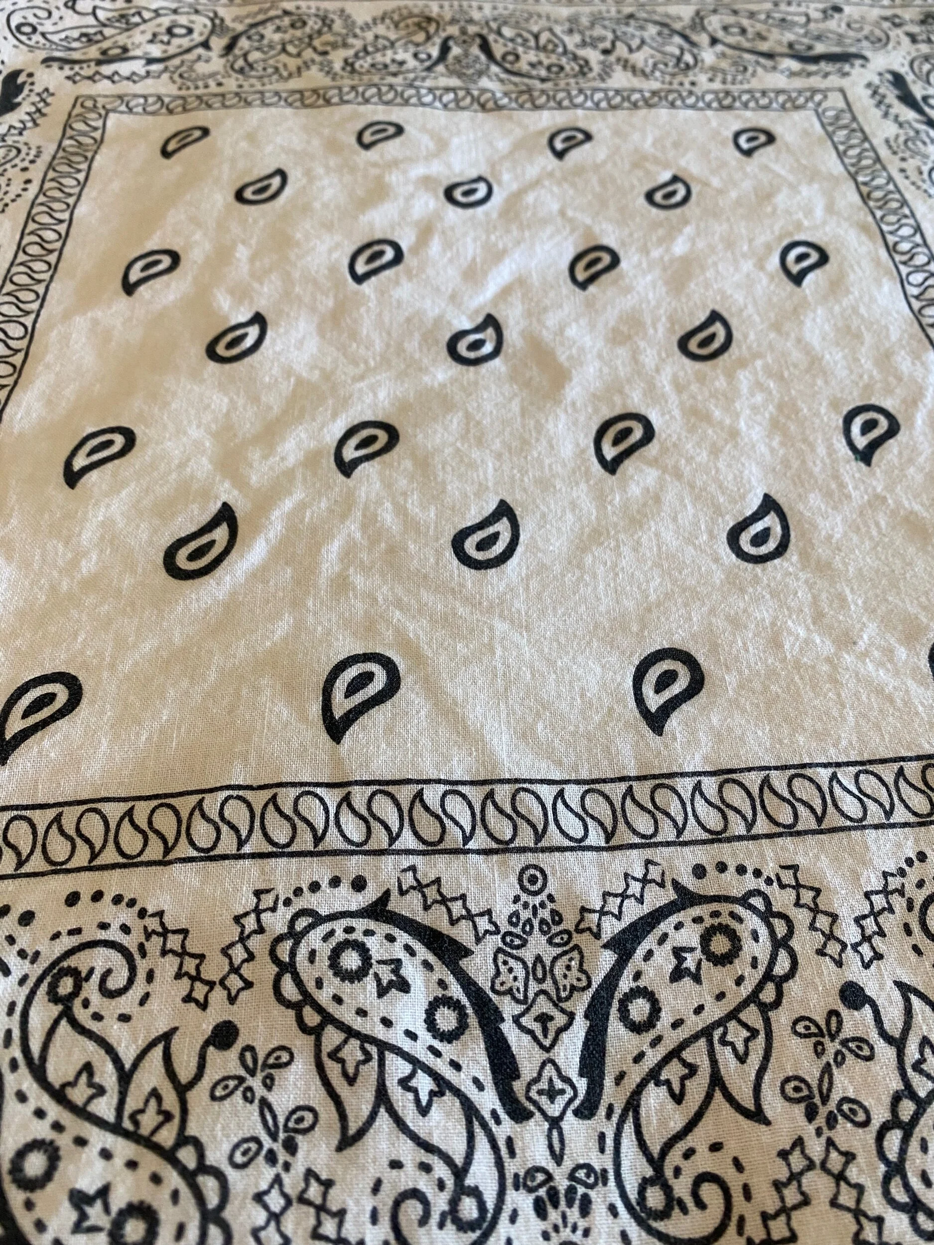 348C8492-BA24-41AF-8353-30C74F7942E4