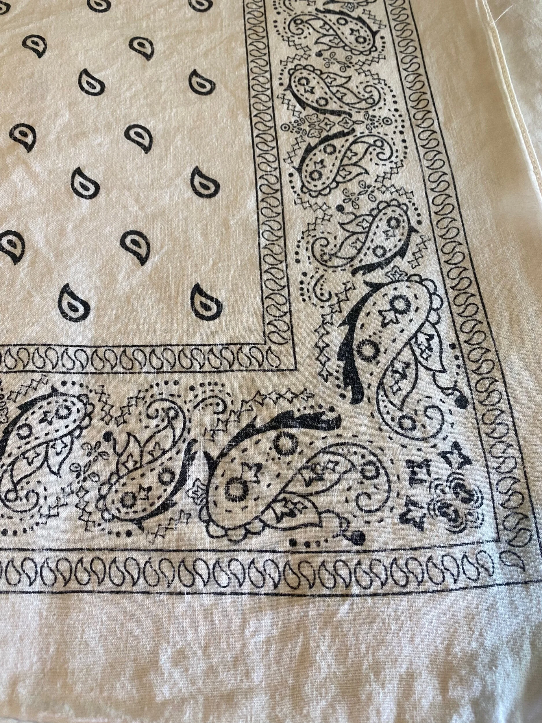 D6A2AD4B-95D3-4CD2-A400-297418F7B55A