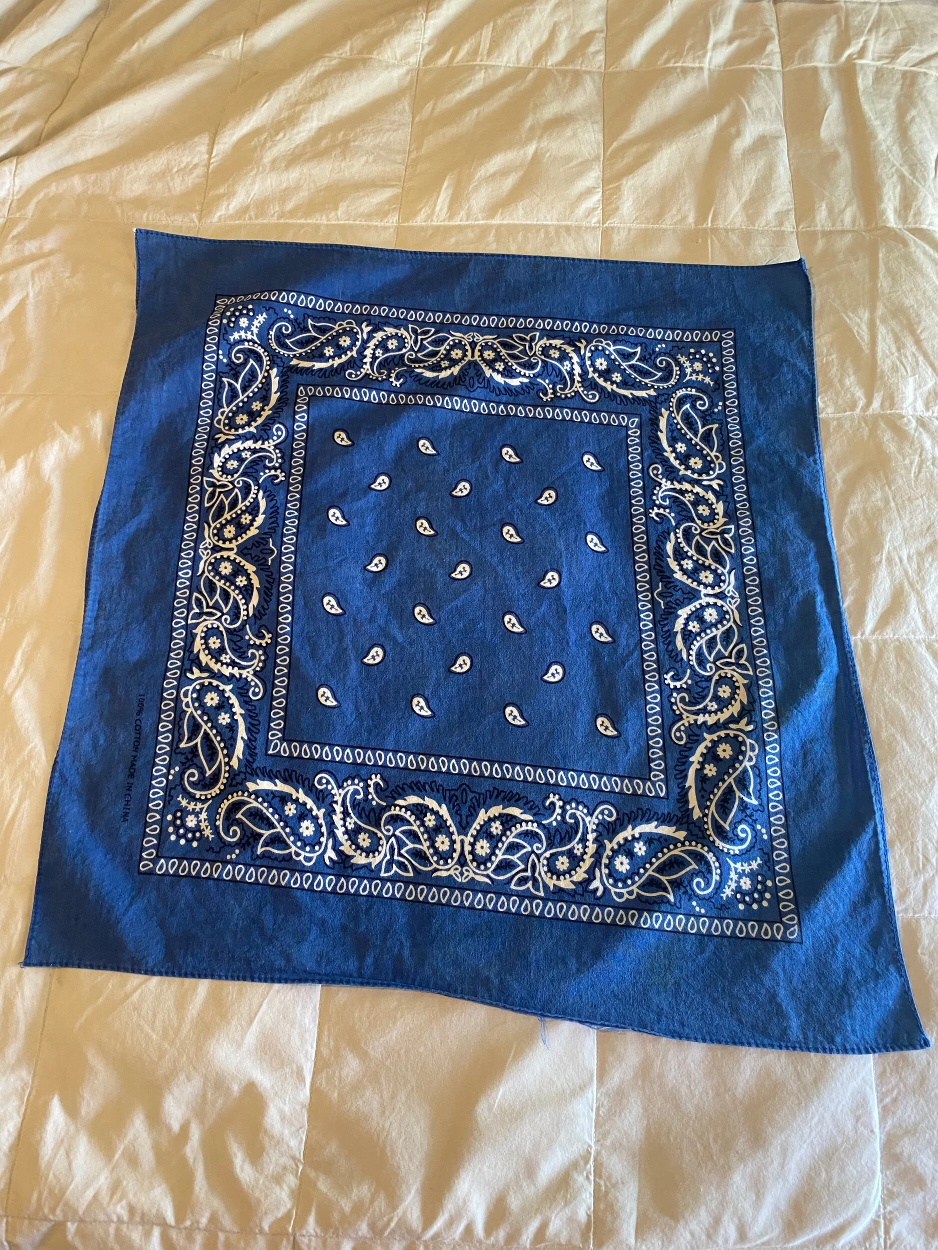 04BF5E55-4CDE-4544-A589-8FB0D650B4F8