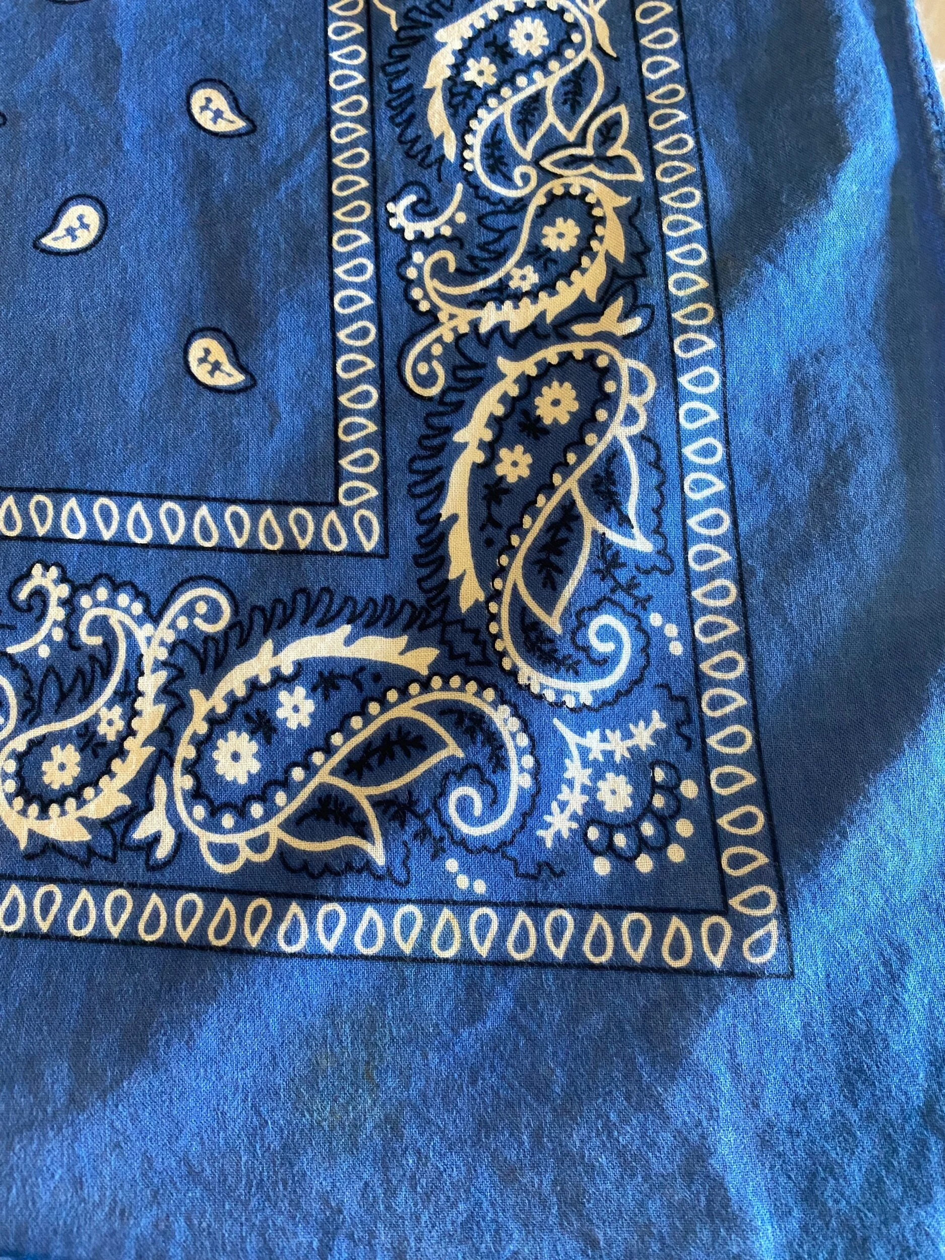 28E123D8-AC98-40B2-B3C3-1BF18D8F2BCD