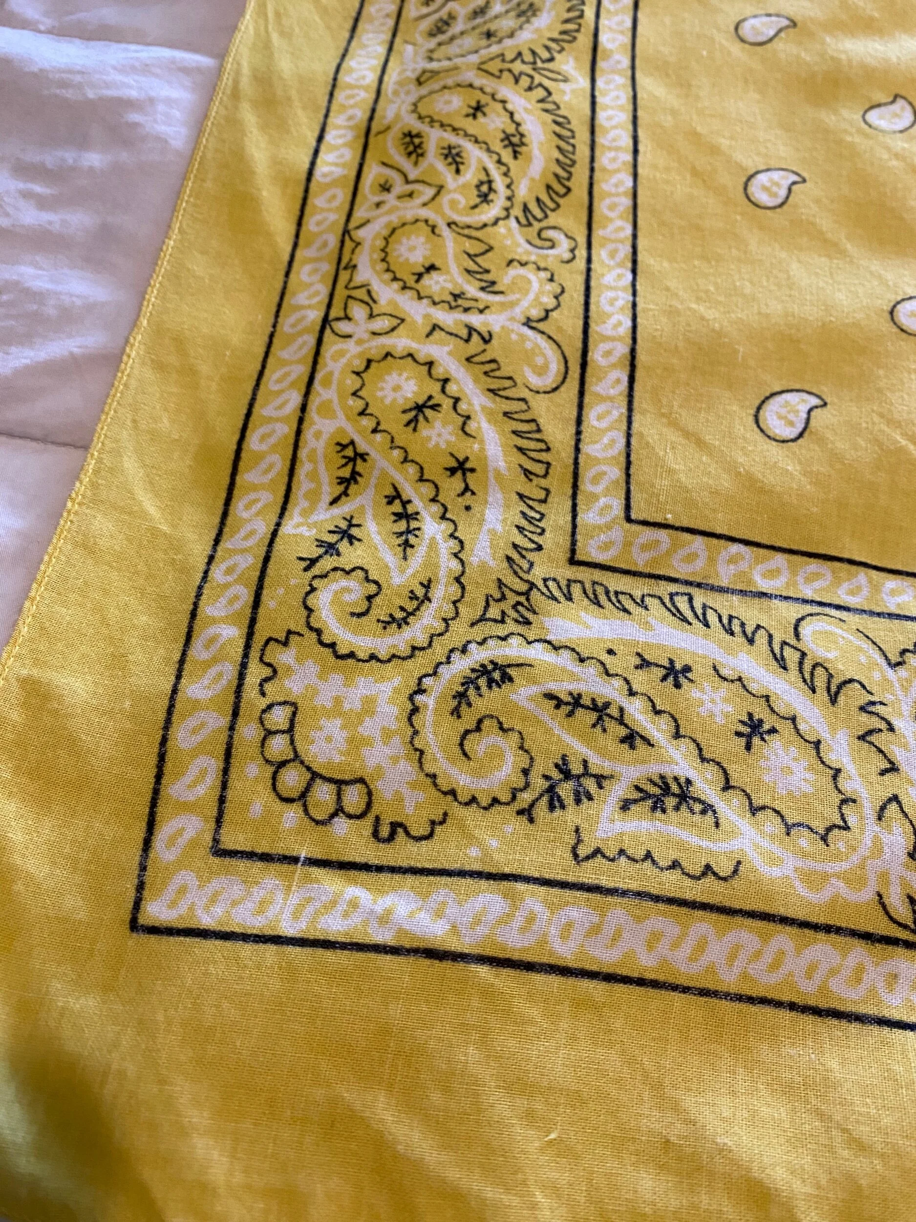 E1659636-8427-4E43-9625-D992175F767E