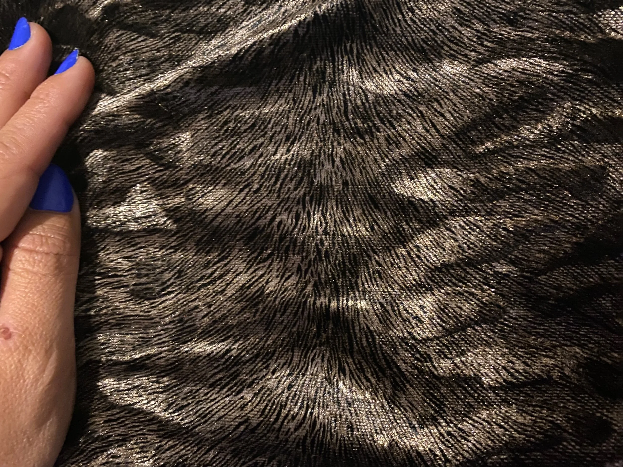 85C45699-CC36-4010-AC1E-188D4C739955