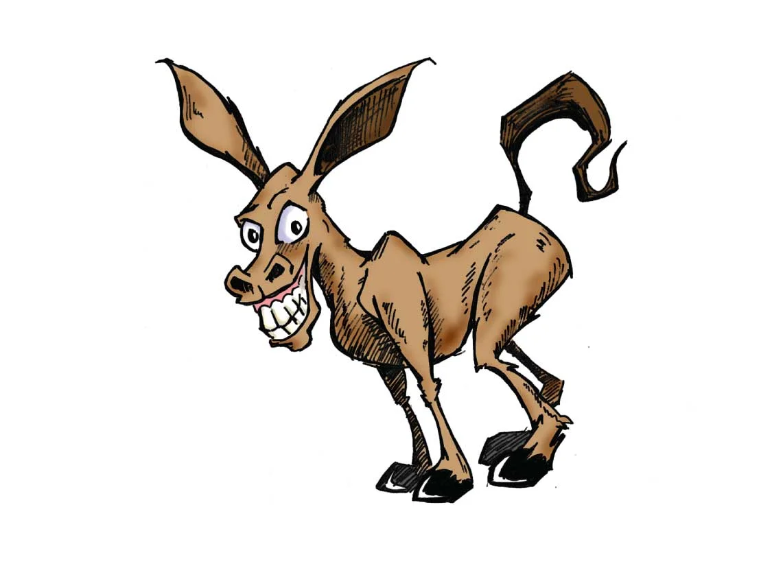 Cured donkey