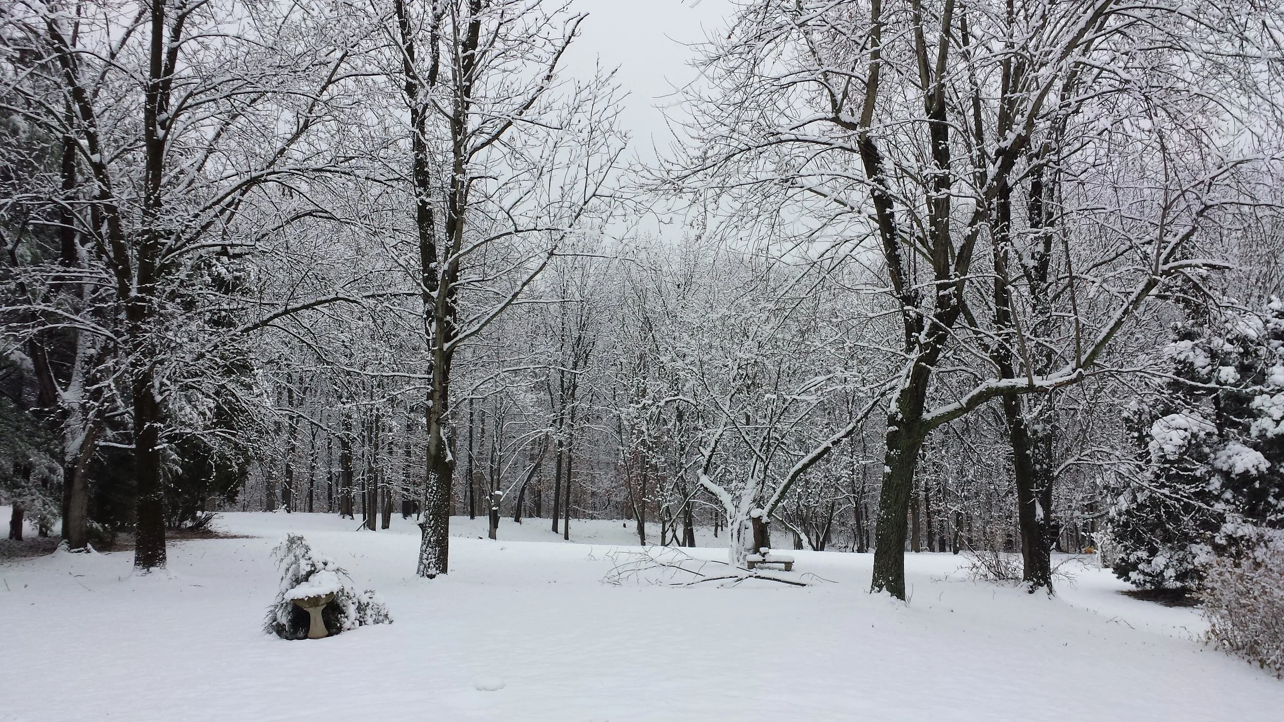 20131214_095837.jpg