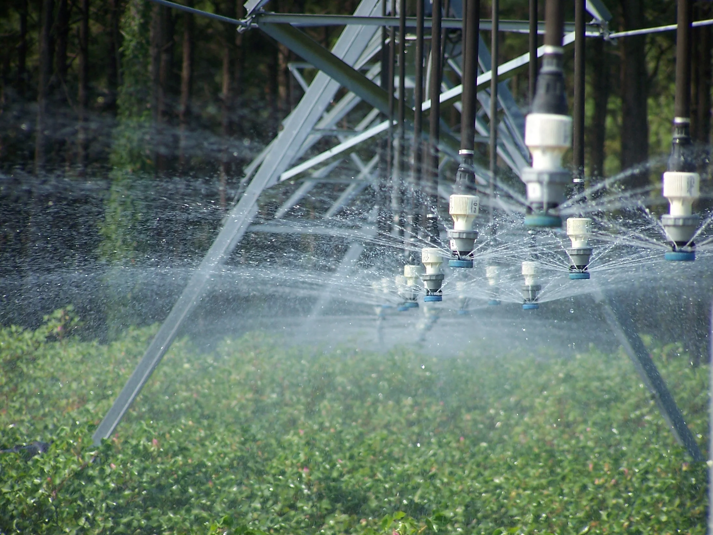 Innovation Developing Conservation-Driven Solutions Projects