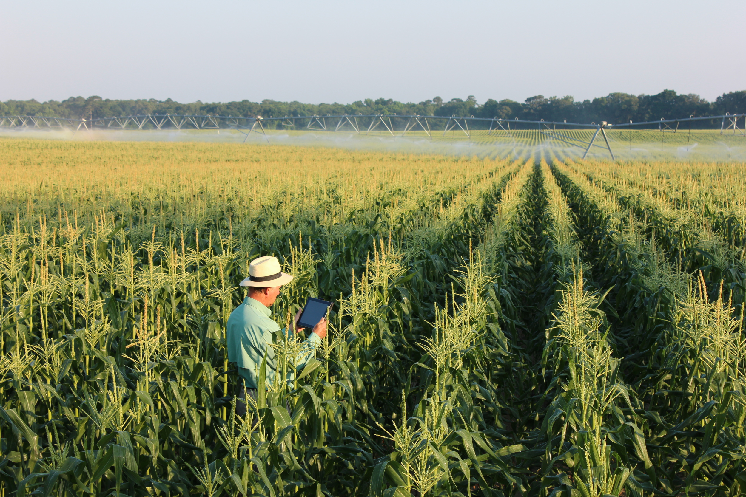   Conservation Tools   Providing Assistance for Farmers &amp; Landowners   Resources  